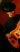 Váradi Zsolt