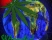 SKAnnabis!
