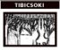 Tibicsoki - borító