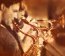 funky horns