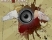 Nagyapunk