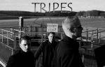 TRIPES